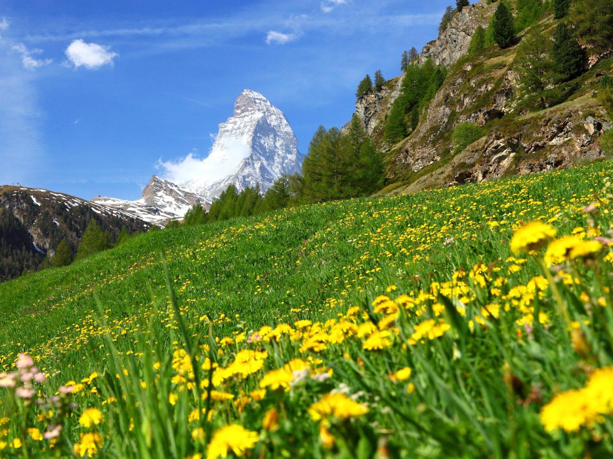 Haus Rossignol B 2e By Interhome Zermatt